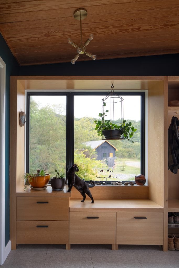 Freedom Cove 3 Black cat on a wooden built-in bench with potted plants near a window.